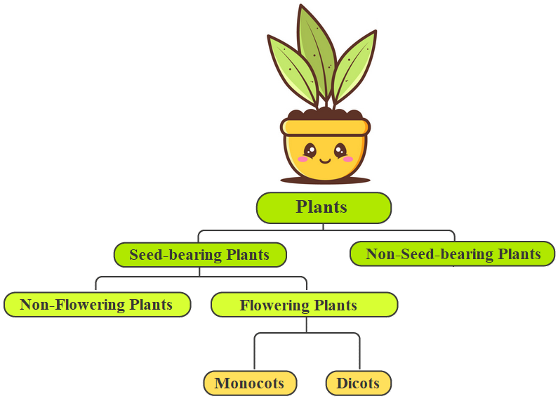 Classification of Plants